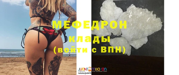 индика Богородицк