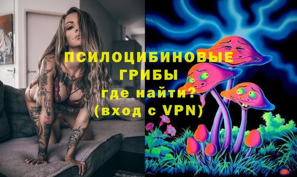 дурь Богородск