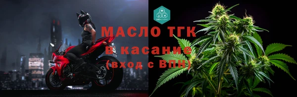 индика Богородицк