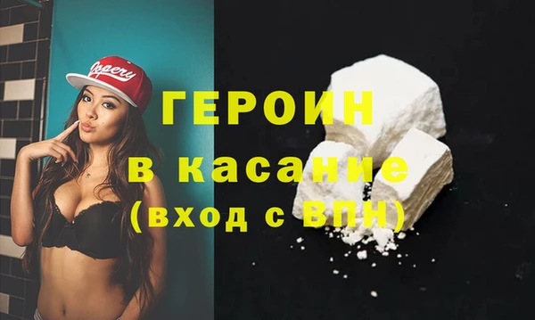 индика Богородицк