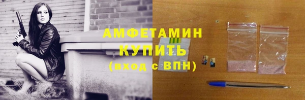 индика Богородицк