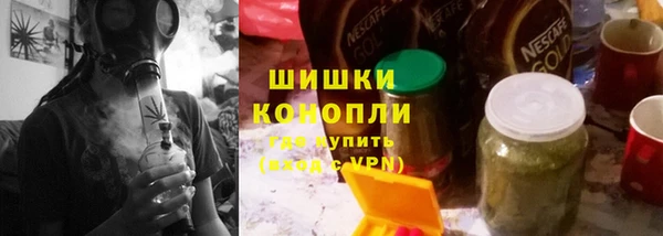 индика Богородицк