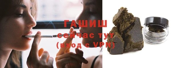 индика Богородицк