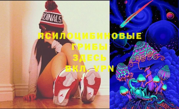 мескалин Богданович