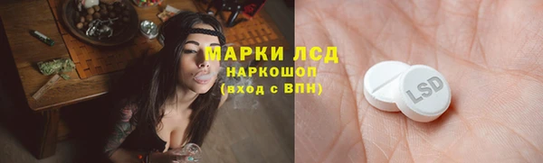 индика Богородицк