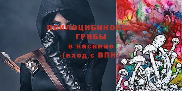 дурь Богородск