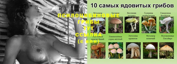 индика Богородицк