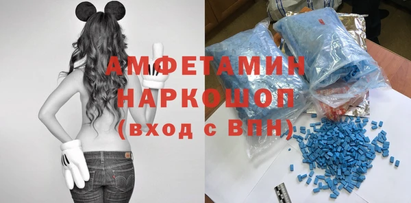 индика Богородицк