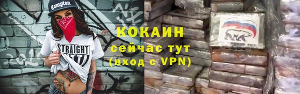 индика Богородицк